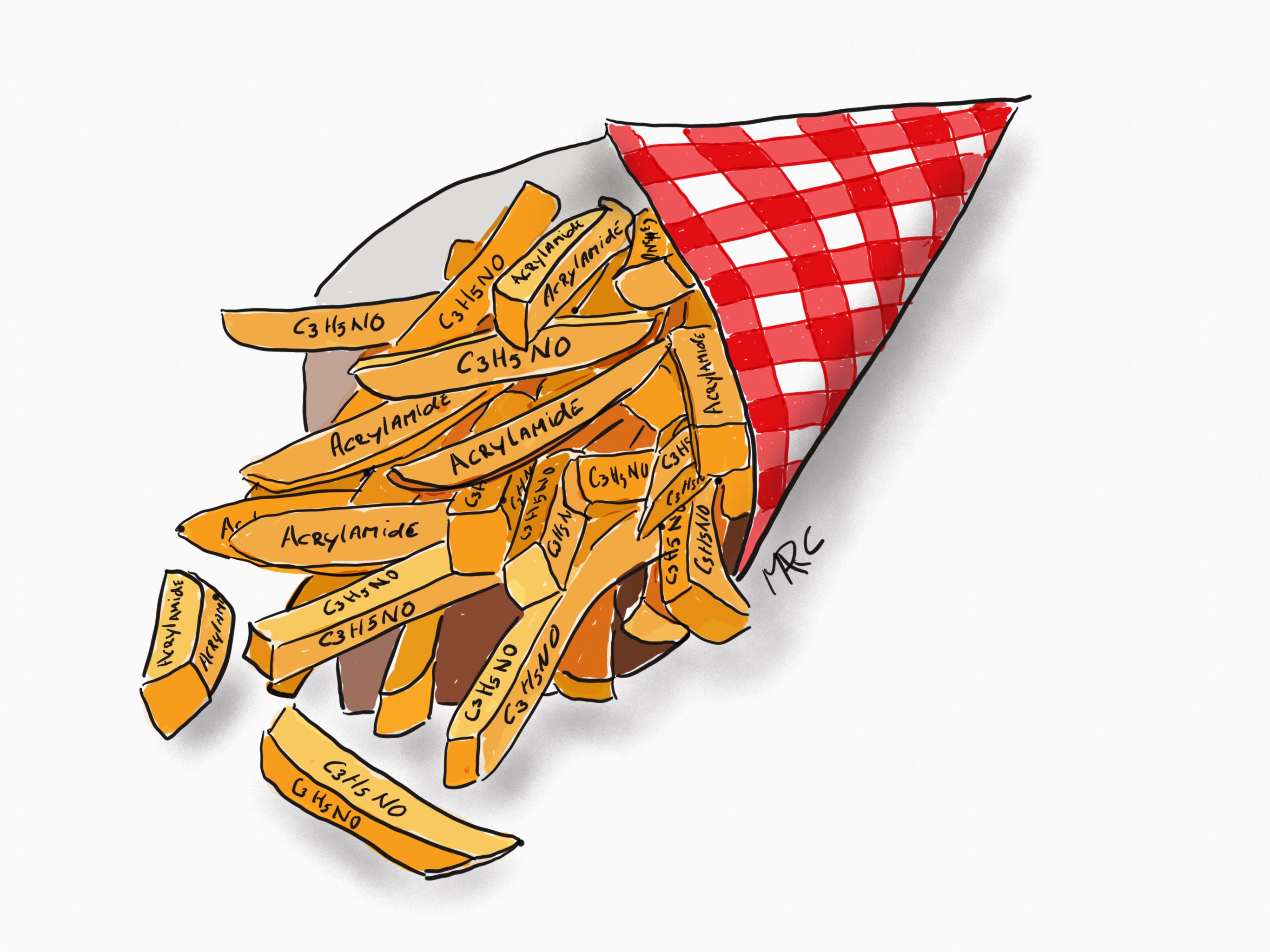 Acrylamide Frietzak cartoon Marc jan Janssen