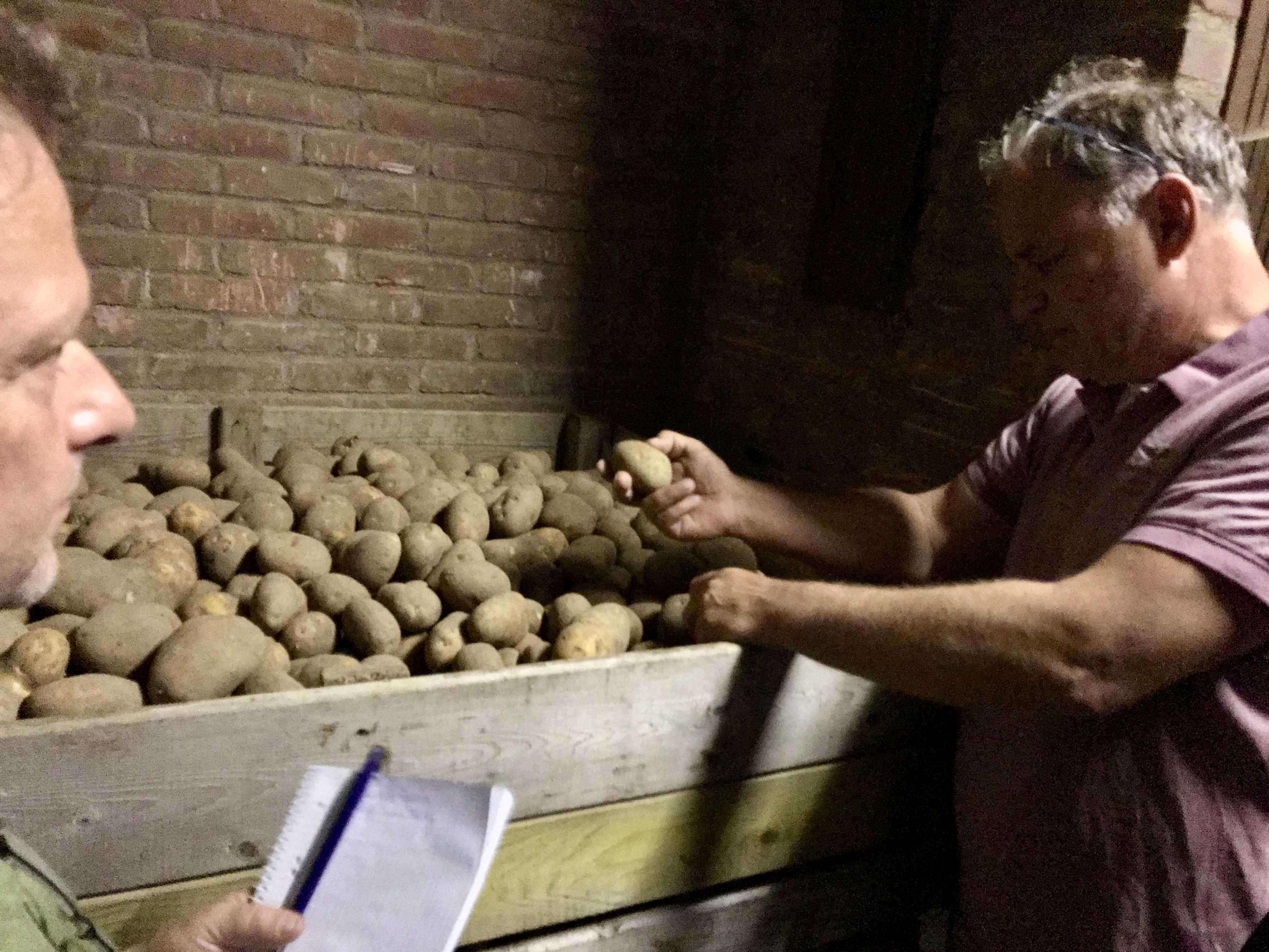 ProFri Kwaliteit frietaardappelen