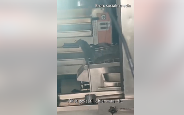 ProFri ongedierte NVWA