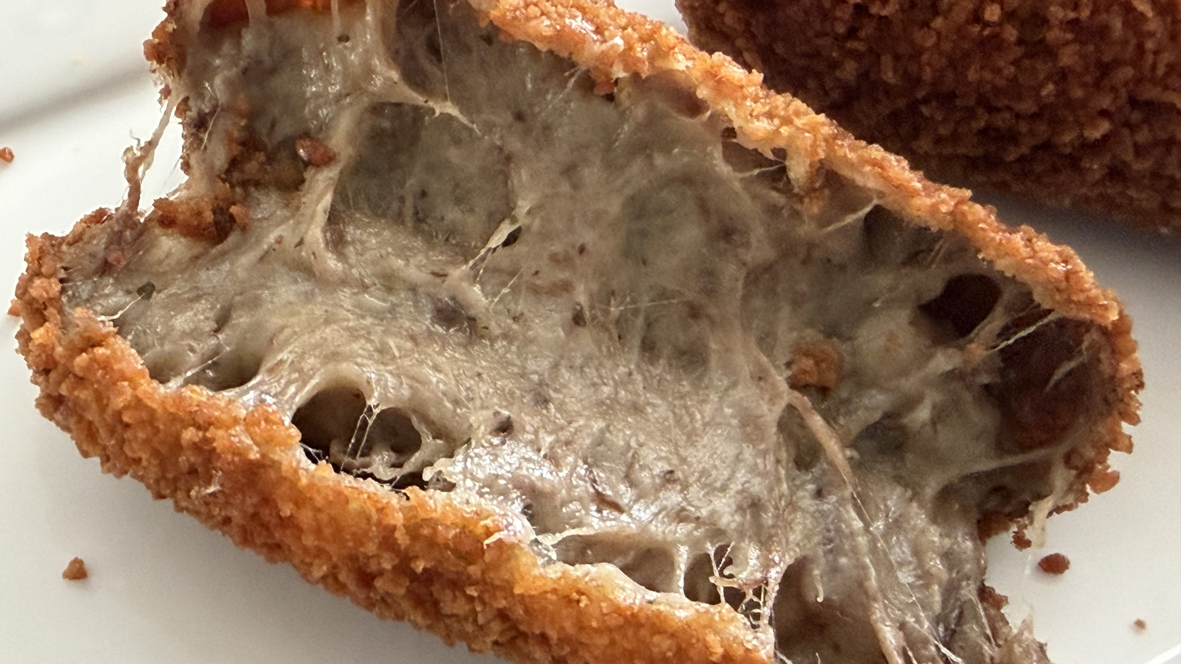 ProFri test Hybride kroket Bourgondier