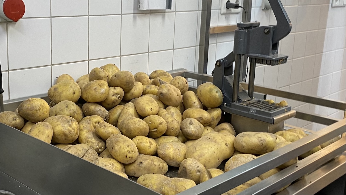 ProFri Overschakeling naar frietaardappelen van nieuwe oogst